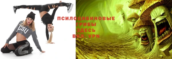 кокс Алексин